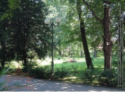 Stalp Iluminat Parc Metalic cu Invelis Decorativ Plastic S.31-2GS