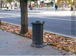 Cos Gunoi Parc, Stradal Fonta BIN-1-C