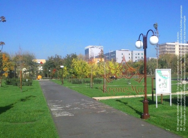 Stalp Iluminat Parc Metalic cu Ornamente Fonta UNIO-2C-T1