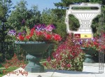 Jardiniera Urbana, Stradala Fonta 86